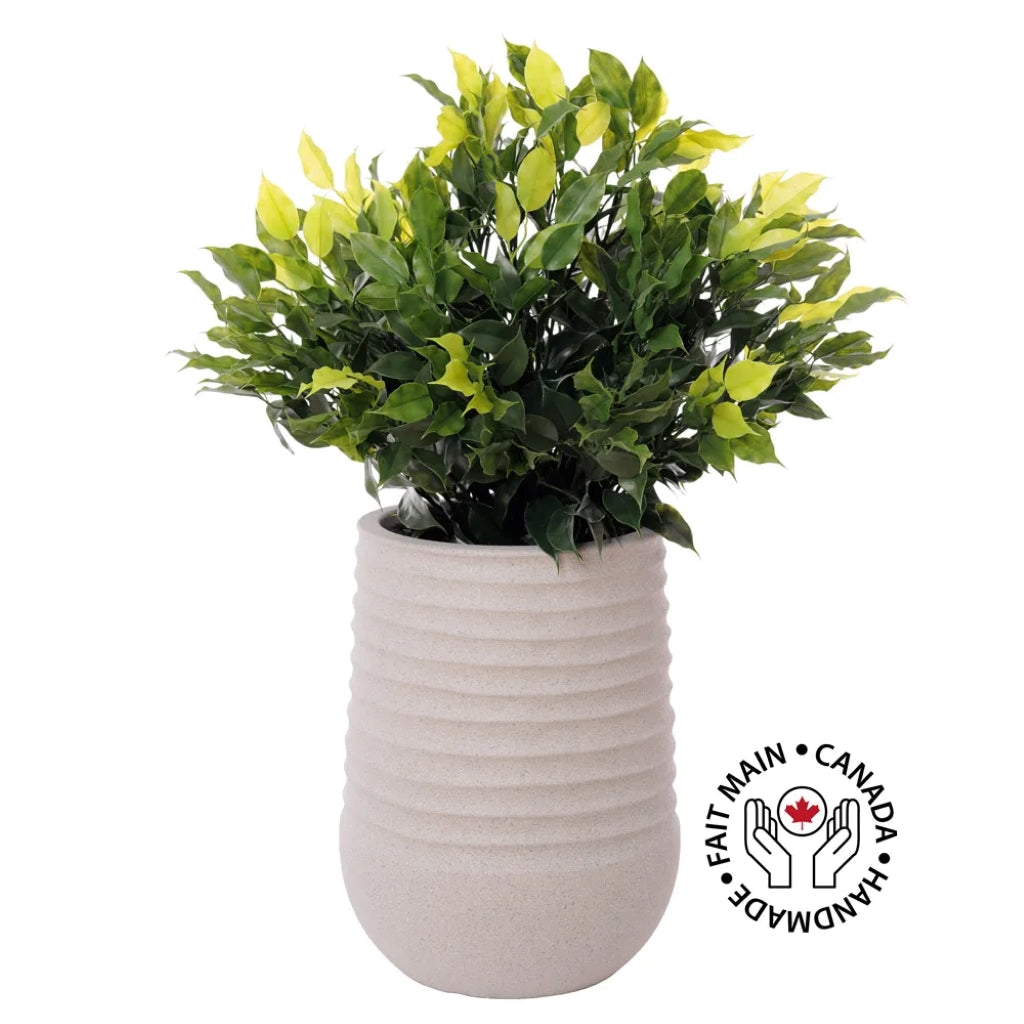 Outdoor Flower Arrangement in Grey Terrazzo Beige